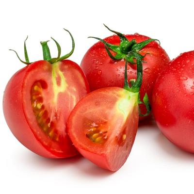 단마토 자연미가 스테비아 토마토 2kg 12입내외 단망고 단마토, 1박스, 2kg