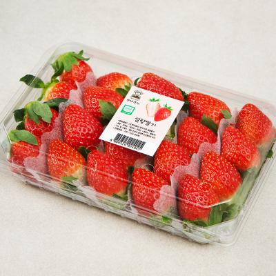딸기 광식이농장 GAP 인증 광식이네 설향 딸기, 500g, 1팩