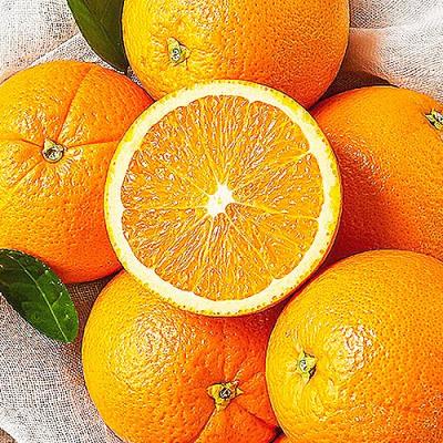 썬키스트 블랙라벨 오렌지 [씨없는 오렌지생과!] 프리미엄 고당도 오렌지 12brix 호주산 오렌지 네이블 썬키스트 퓨어스펙 블랙라벨 오렌지
