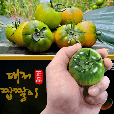 대저짭짤이토마토 [농협인증 정품] 오리지널 부산 대저토마토 짭짤이 S 2S 3S 로얄과 1kg, 2.5kg 산지직송